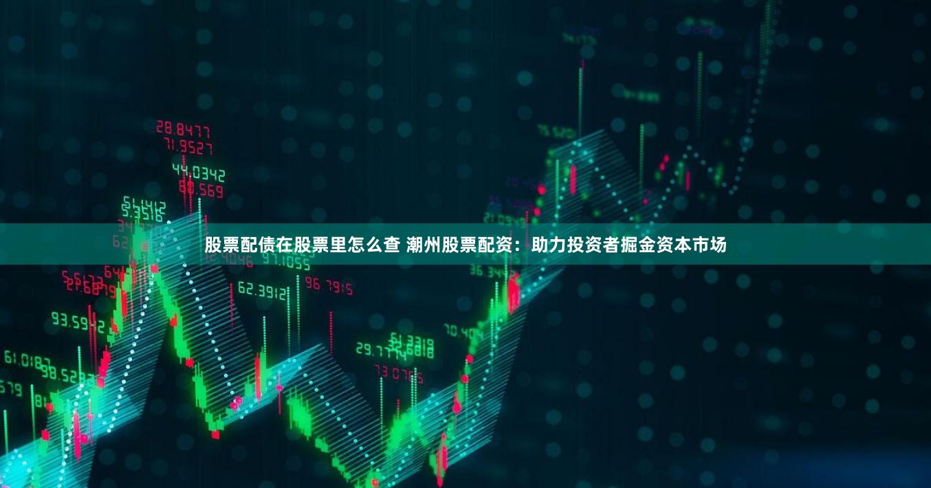 股票配债在股票里怎么查 潮州股票配资：助力投资者掘金资本市场
